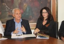 Deputada federal admite que pode disputar vaga em Assembléia Legislativa