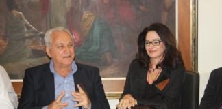 Deputada federal admite que pode disputar vaga em Assembléia Legislativa