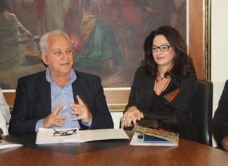 Deputada federal admite que pode disputar vaga em Assembléia Legislativa