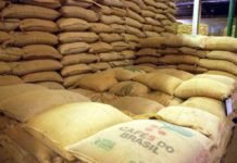Manobra abre brecha para importação de café conilon