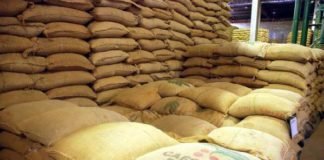 Manobra abre brecha para importação de café conilon