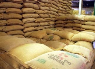 Manobra abre brecha para importação de café conilon
