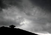 Frio do cão, fome de poder