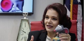 Brasileira lança aplicativo para alfabetização de crianças com autismo