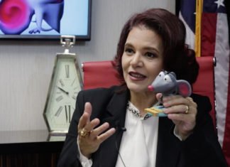 Brasileira lança aplicativo para alfabetização de crianças com autismo