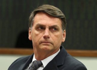 Líder do governo compara Bolsonaro ao Macaco Tião