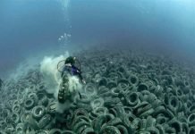 Até 2050 teremos mais plástico do que peixes nos oceanos