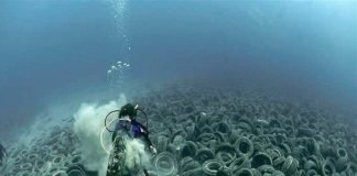 Até 2050 teremos mais plástico do que peixes nos oceanos