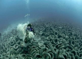 Até 2050 teremos mais plástico do que peixes nos oceanos