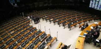 Pelo menos 250 deputados federais – dos atuais 513 – devem se reeleger