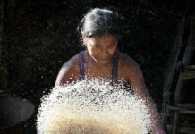 Reforma da Previdência prejudica mais as mulheres, diz Dieese