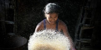 Reforma da Previdência prejudica mais as mulheres, diz Dieese