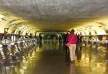 Três senadores do ES empregam 59 servidores. Salários de 20 a 25 mil reais