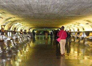 Três senadores do ES empregam 59 servidores. Salários de 20 a 25 mil reais