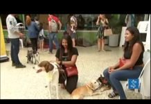 FGTS pode financiar empresas que usam energia solar