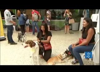 FGTS pode financiar empresas que usam energia solar