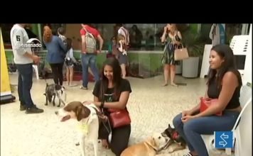 FGTS pode financiar empresas que usam energia solar