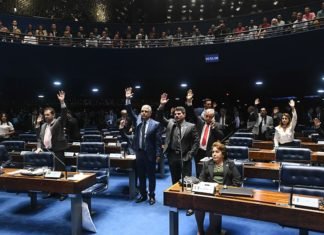Senador diz que “a responsabilidade do tráfico está nas mãos do usuário de drogas”