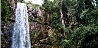 Melhores trilhas do Distrito Federal e arredores,confira