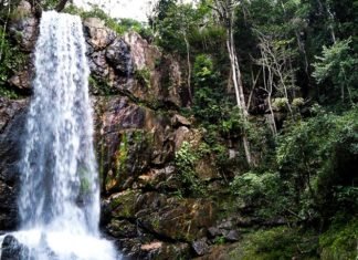 Melhores trilhas do Distrito Federal e arredores,confira