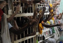 Encarceramento por pequena quantidade de drogas: o alimento do crime organizado