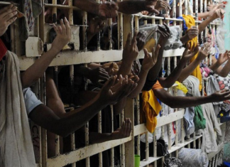Encarceramento por pequena quantidade de drogas: o alimento do crime organizado