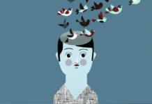 Memória do elefante