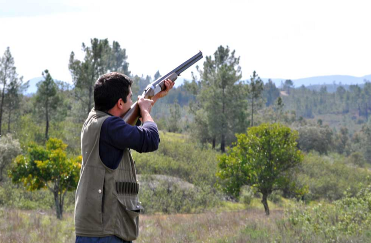 Ibope: 93% da população é contra a caça. Capixabas também