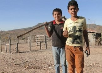 Emater promove campanha para manter jovem na área rural