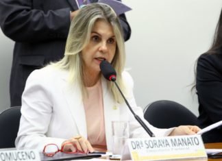 ‘Aprovação da Previdência foi a maior conquista do semestre’, diz deputada