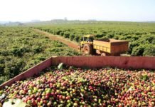 Previdência: Deputado espera manter em plenário destaque que beneficia agronegócio