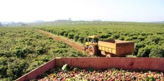 Previdência: Deputado espera manter em plenário destaque que beneficia agronegócio