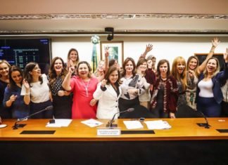 Mulheres se unem para derrubar projeto que acaba com as cotas femininas