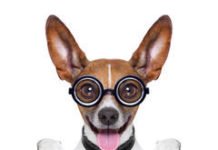 Deu a louca no mundo