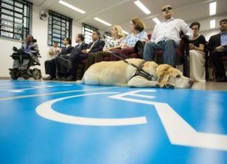 Pessoas com deficiência poderão ter prioridade ao receber restituição do IR