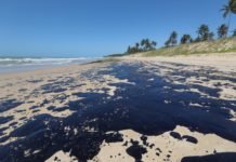 Óleo derramado nas praias pode ter vindo de navio pirata