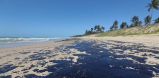 Óleo derramado nas praias pode ter vindo de navio pirata