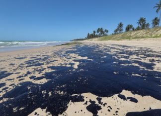 ES em alerta: Óleo pode chegar às praias do Sudeste, avisa ministro