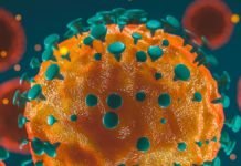 Casos aumentaram no Brasil porque isolamento social diminuiu