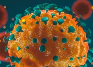 Casos aumentaram no Brasil porque isolamento social diminuiu