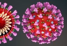 Luta do mundo contra Covid poderá levar 10 anos, diz cientista