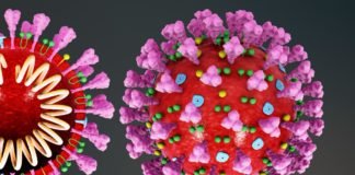 Vírus fica ativo até 72 horas no plástico, 42 horas no cobre e 3 horas na roupa