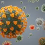 Coronavirus structure