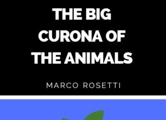 Livro infantil aponta cura para o coronavírus