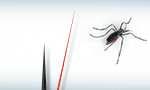 Dengue2_728x90_75kb