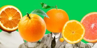 Lei limita em 5 mil doações para campanhas eleitorais; para cada cargo