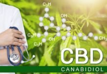 Senadores pedem ao governo que distribua canabidiol de graça pelo SUS