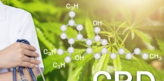 Senadores pedem ao governo que distribua canabidiol de graça pelo SUS