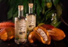 Linhares: Capixaba cria cachaça das partes descartadas do cacau