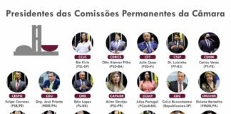 Conheça os novos 25 presidentes das comissões da Câmara